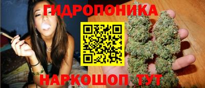 spice Будённовск