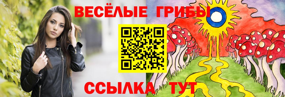 Свободный  Псилоцибиновые грибы Cubensis  Вход с VPN 