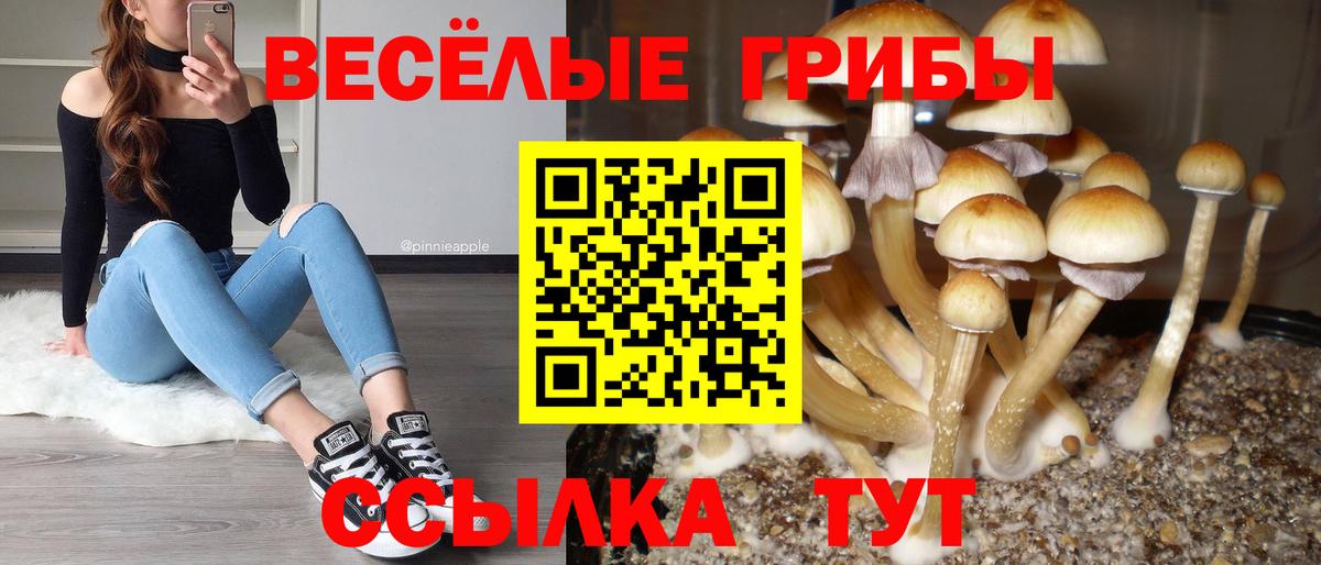 Галлюциногенные грибы ЛСД Свободный